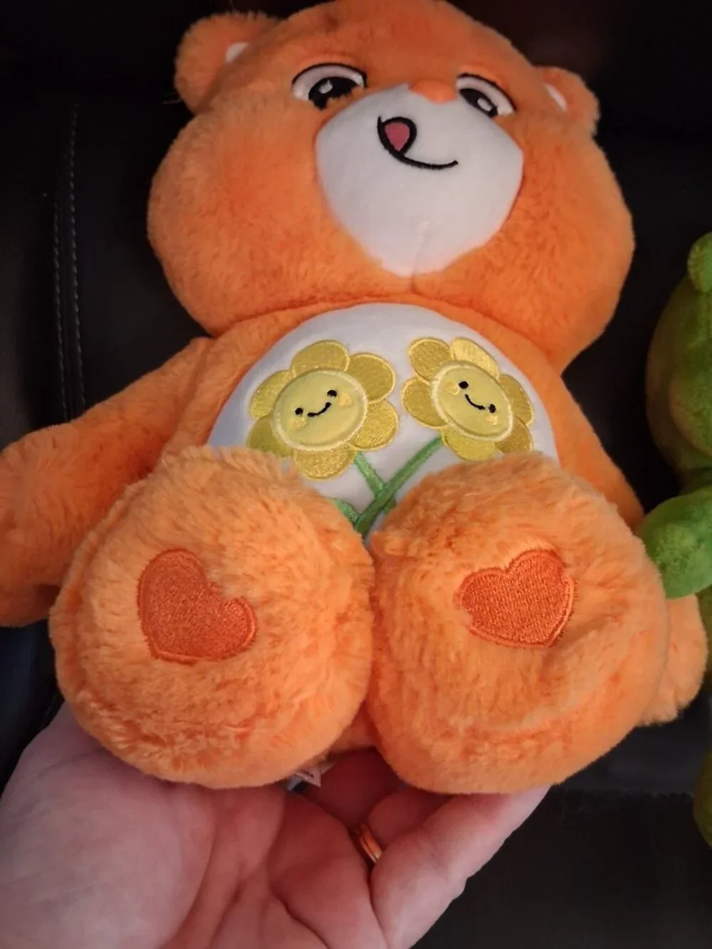 Care Bears this fun